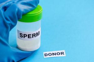egg and sperm donation